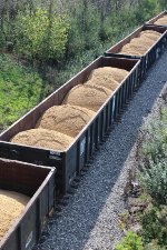 COER 802440 NOKL 321972